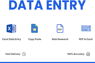 do accurate data entry, copy paste, web research and excel data entry