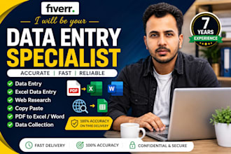 provide professional data entry with 100 accuracy