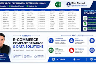 do ecommerce company research and organize data in excel