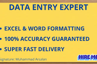 do virtual assistant data entry and excel data formatting