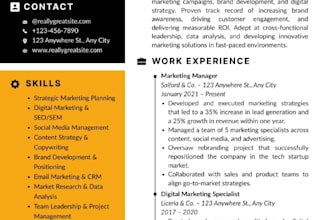 design professional resume CV and cover letter