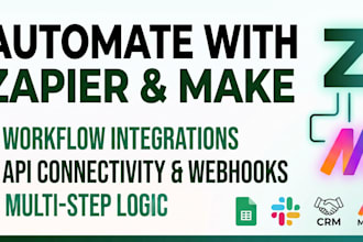setup zapier automation, make com integration, and connect api