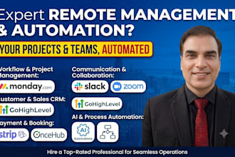 project management consultant and ai automations