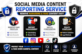 dcma tiktok mass report, takedown harassing content, auto commenting, auto reply