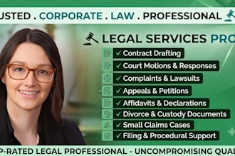 draft family law pleadings, motions, and petitions