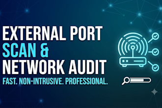 run an external port scan and network audit