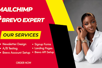 set up mailchimp or brevo email marketing and automation workflow newsletter