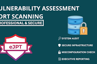 do professional vulnerability assessment and port scanning