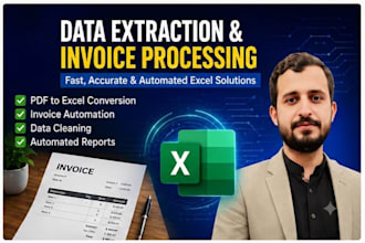 do excel data cleaning, data processing, and invoice processing