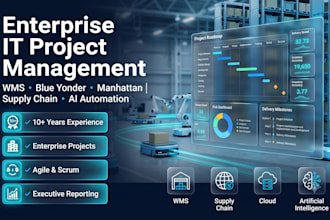 manage your IT project, wms implementation, or digital transformation