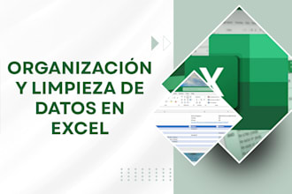 lo haré organizar y limpiar tu base de datos en excel