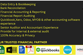 do professional data entry, bookkeeping, financial reporting , auditing