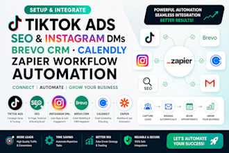 setup tiktok ads SEO instagram dms brevo CRM calendly zapier workflow automation