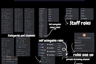 professionally set up your discord server with bots and roles