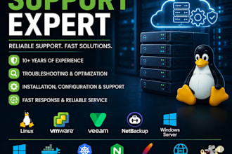 provide IT infrastructure support