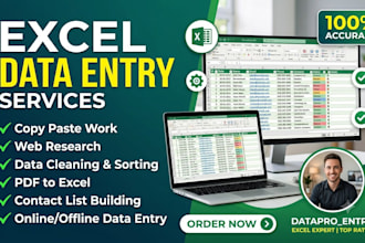 accurate data entry excel