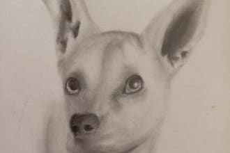 draw custom cartoon or realistic portraits of you or your pet