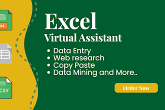 be your virtual assistant for excel data entry and spreadsheet tasks