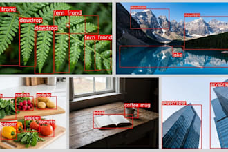 do image annotation, data labeling, bounding box and ai data