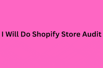 do shopify store audit