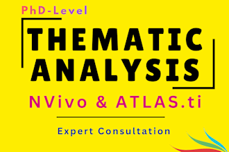 provide expert thematic analysis consultation