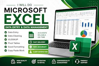 do microsoft excel data entry, data cleaning, vlookup