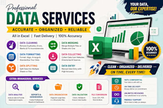 excel data, clean, split, data entry and managerial services