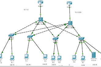 do cisco network engineer troubleshooting expert