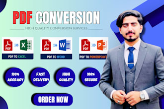 do excel data entry, convert pdf to excel, word and copy paste