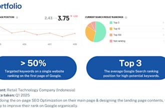 develop your SEO strategy and manage online ads