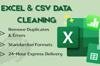 clean, format, and fix your messy excel or csv data in 24 hours