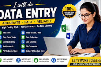do accurate data entry, copy paste, web research, and excel data entry