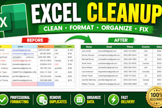 clean, format, and organize your excel spreadsheet