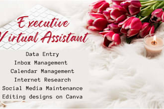 be your executive virtual assistant