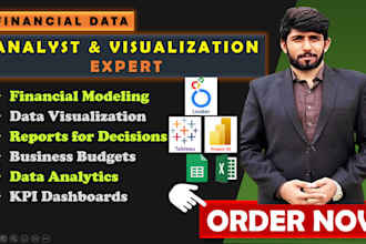 be financial data analyst and visualization expert with power bi, tableau looker
