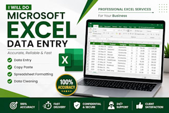 do microsoft excel data entry, formatting and spreadsheet tasks