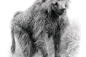 draw realistic people and animals in pen and ink drawing