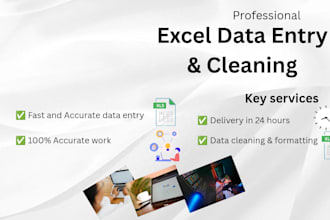 virtual assistant for excel data formatting expert