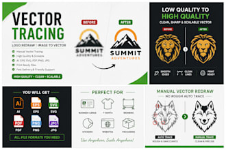 vector trace, redraw logo to ai, eps, svg, png, PDF