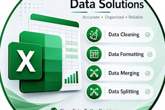 clean, format, merge, split and analysed excel data