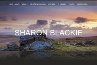 design wix author website book writer ebook publishing website poet website