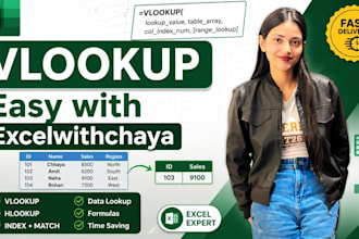 do excel vlookup formula professionally