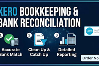 do expert xero bookkeeping and bank reconciliation