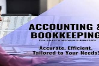 do excel data entry, bookkeeping and accounting tasks professionally