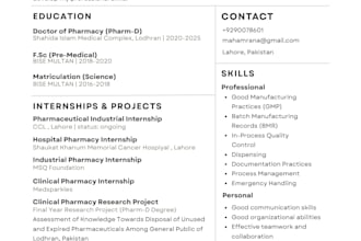 design a professional CV or resume in canva
