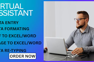 do data entry, data cleaning, data retyping and formatting, typing work