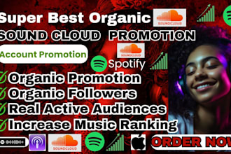 do organic music promotion and playlist placement campaign