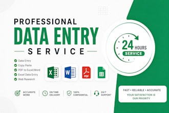 do excel data entry, copy paste, PDF to excel and google sheets app