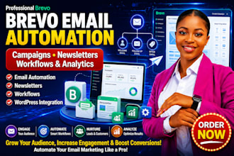 setup brevo email automation, campaigns, newsletters, workflows, and analytics