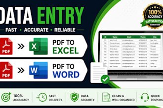 accurate data entry, microsoft excel, PDF to excel or word